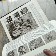 Charger l'image dans la galerie, Livre Leonardo Da Vinci 1635 Illustrations 1956