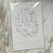 Charger l'image dans la galerie, Affiche Zodiaque céleste Baltic Club