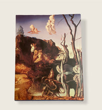 Charger l'image dans la galerie, Livre Savaldor Dali The Montreal Museum of Fine Arts
