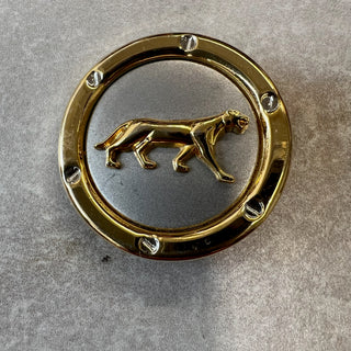 Boucles d'oreilles tigres