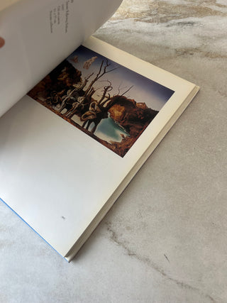 Livre Savaldor Dali The Montreal Museum of Fine Arts