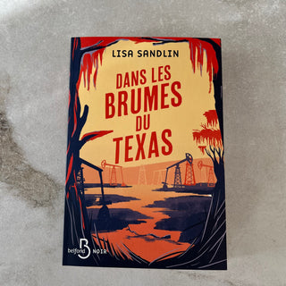Livre Dans les brumes du Texas Lisa Sandlin