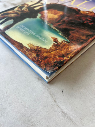 Livre Savaldor Dali The Montreal Museum of Fine Arts