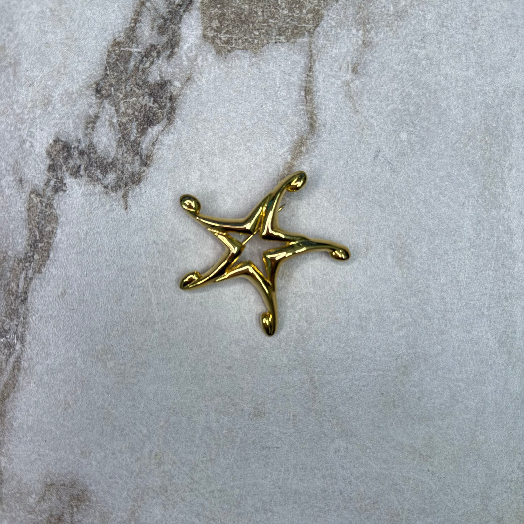 Broche étoile