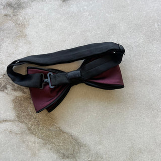 Noeud papillon rouge Philippe Dubuc
