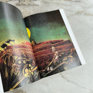 Livre Taschen Max Ernst : Au-delà de la peinture Ulrich Bischoff