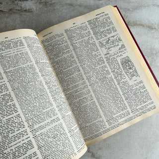 Livre New Illustrated Webster's Dictionary. Thesaurus