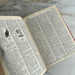 Livre New Illustrated Webster's Dictionary. Thesaurus