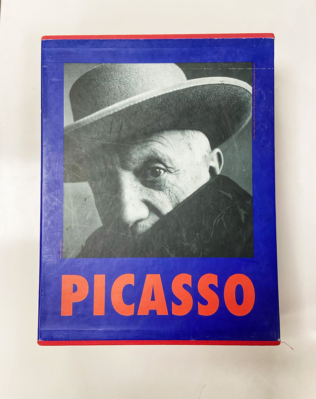 Livre Pablo Picasso 2 volumes